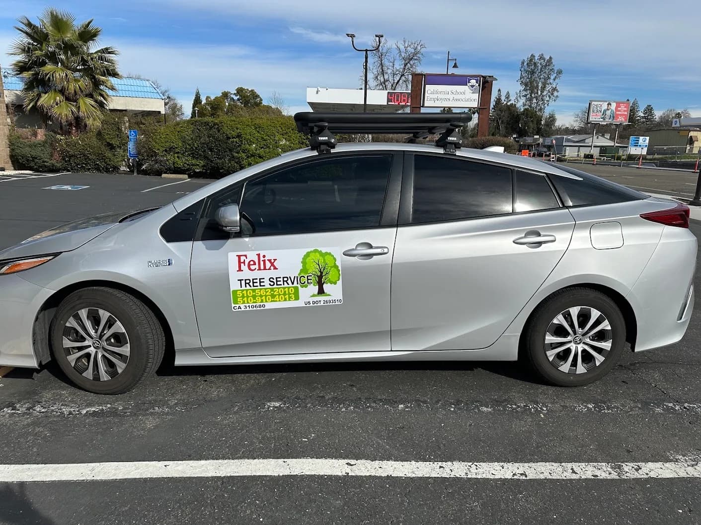 Custom full-color vehicle magnet created by Inca Threads for a Sacramento-area tree service company.